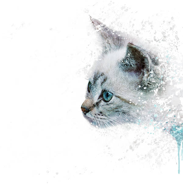 istock White Kitten portrait watercolor 607883448