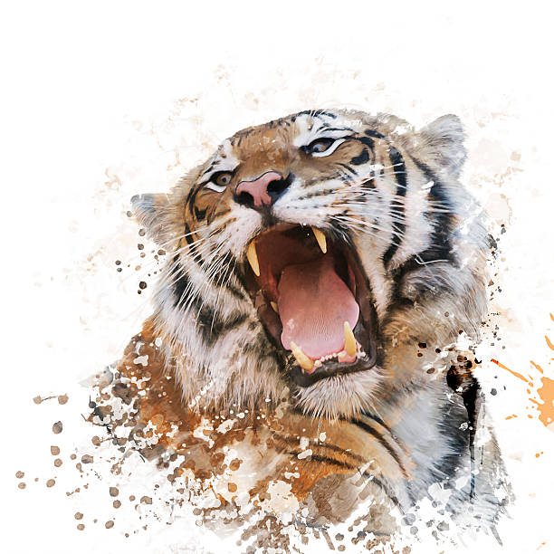 istock Tiger Portrait Watercolor 607883718