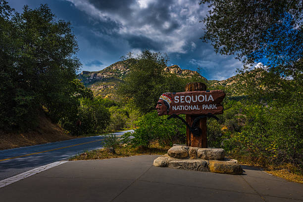 istock Sequoia National Park Entrance 607885436