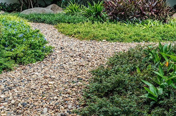 istock Part of garden 607887768