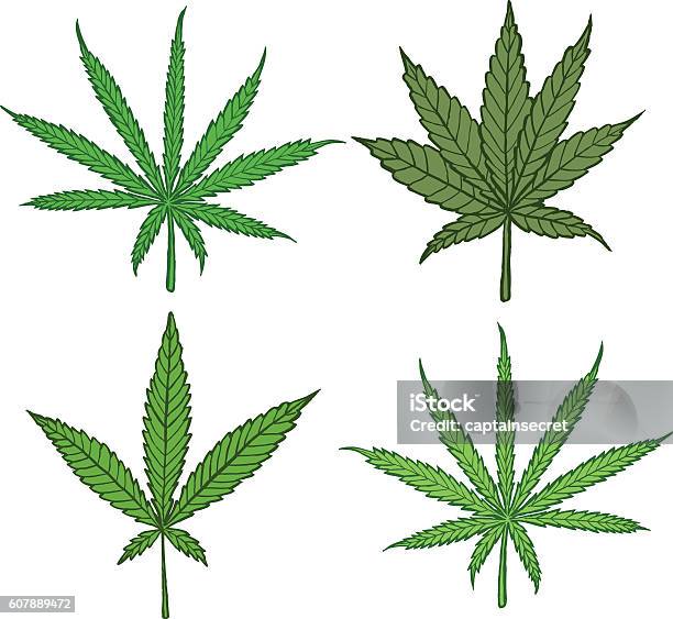 Diagram Of Different Cannabis Leaf Varieties Colour Stock Illustration - Download Image Now