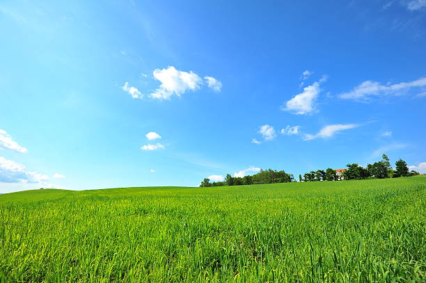 Cultivated Lands at Countryside of Hokkaido, Japan stock photo