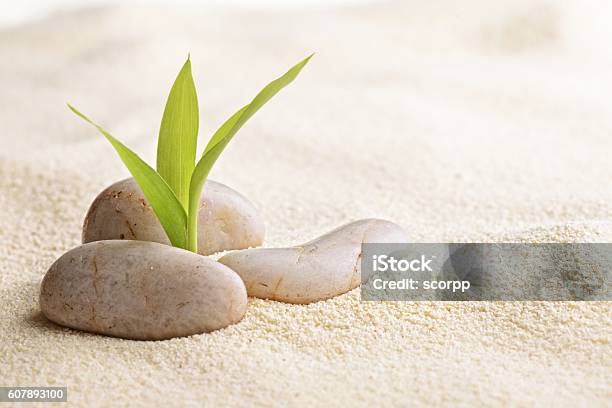 Zenlike Stock Photo - Download Image Now - Zen-like, Buddhism, Sand