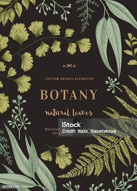 Botanical Illustration With Leaves Stock Illustration - Download Image Now - Botany, Illustration, Old-fashioned