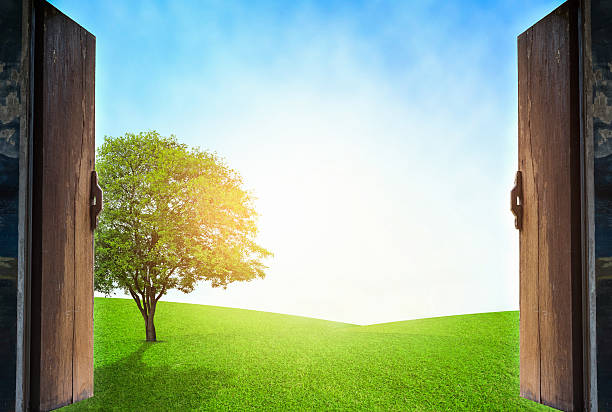 istock Open wooden windows with outdoor ecology concept. 607894822