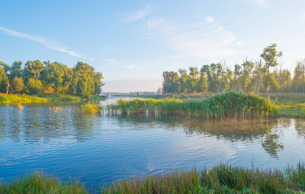 istock Shore of a lake at sunrise in summer 607899314
