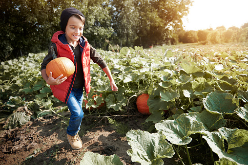 Little boy running with pumpkin