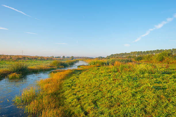 istock Shore of a lake at sunrise in summer 607900268