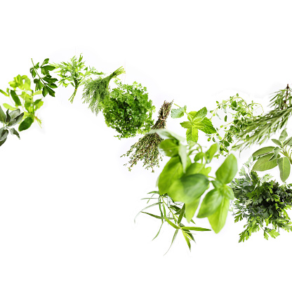 Huge file with collection of fresh herbs in motion, studio shot, selective focus for a 3D effect. 