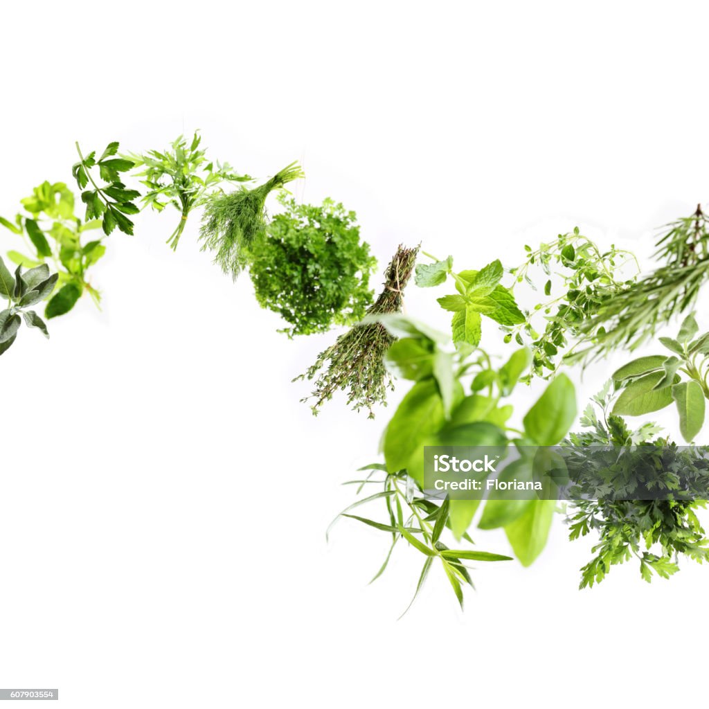 Fresh herbs Huge file with collection of fresh herbs in motion, studio shot, selective focus for a 3D effect.  Herbal Medicine Stock Photo