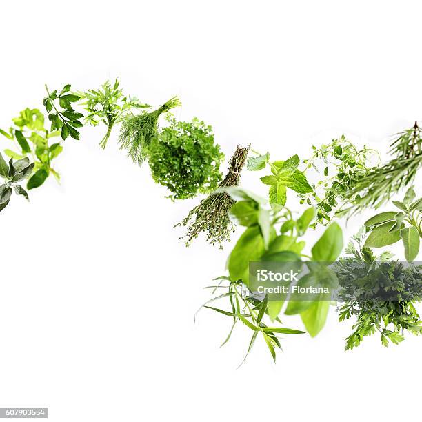 Fresh Herbs Stock Photo - Download Image Now - Herbal Medicine, Herb, Flying