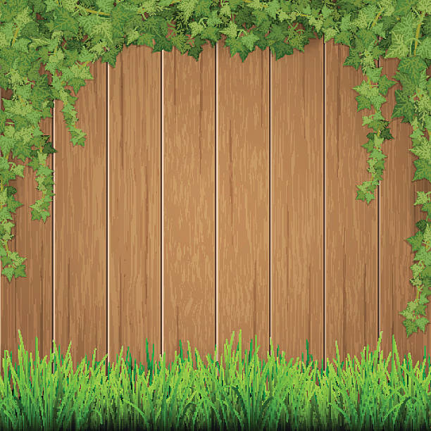 ilustrações de stock, clip art, desenhos animados e ícones de grass and hanging ivy on wooden background. - ivy backgrounds wood fence