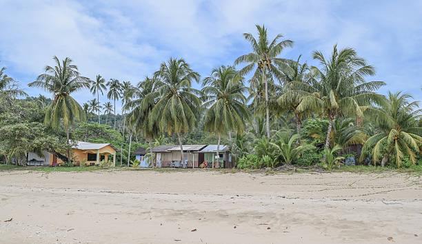 istock Juara beach. Pulau Tioman in Malaysia 607904566
