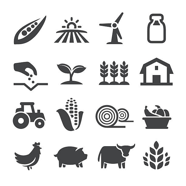 ilustraciones, imágenes clip art, dibujos animados e iconos de stock de iconos de la agricultura - acme series - tractor agriculture field harvesting