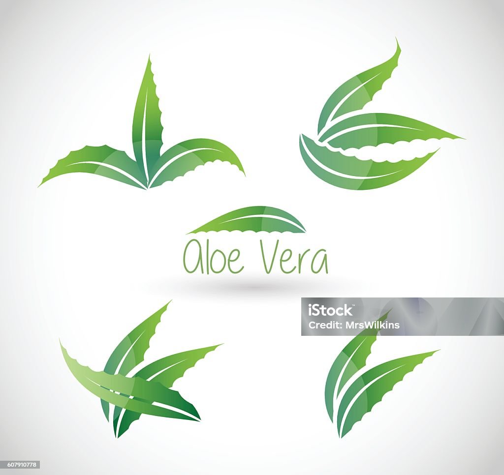 Ilustración vectorial de Aloe Vera - arte vectorial de Áloe libre de derechos