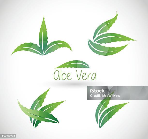 Ilustración de Ilustración Vectorial De Aloe Vera y más Vectores Libres de Derechos de Áloe - Áloe, Hoja, Abstracto