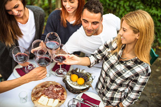 istock friends toasting with red wine after the harvesting 607911318