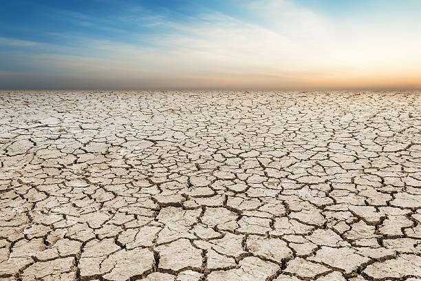 istock Landscape cracked soil, earth desert terrain with sky 607912790
