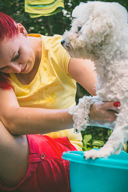 istock dog washing in a basin 607913368
