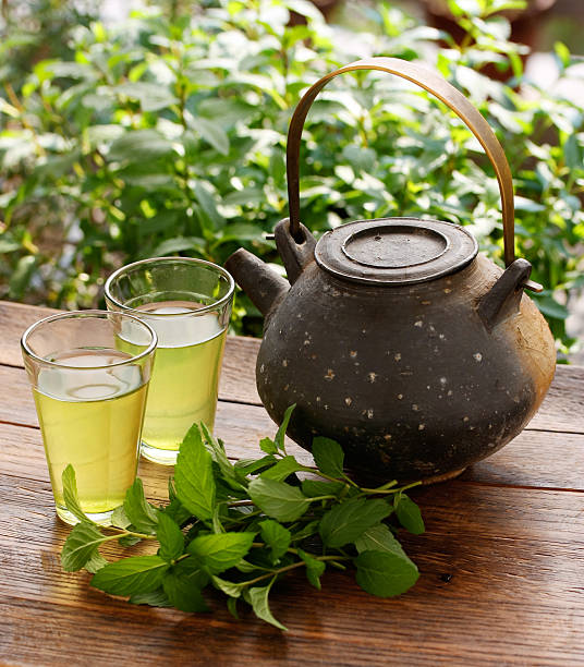istock japanese teapot and green herbal tea 607915710