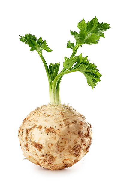 celery root isolated on white background Fresh celery root with leaf isolated on white background, vertical photo. Celery isolated on white. Healthy food Celeriac stock pictures, royalty-free photos & images