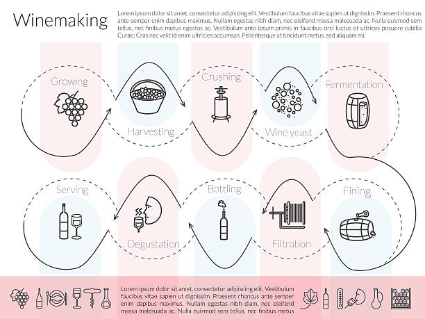 illustrazioni stock, clip art, cartoni animati e icone di tendenza di infografica di vinificazione di linea - bottling plant winery wine industry