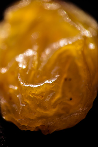 Extreme close-up of a single yellow raisin