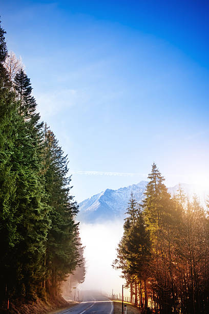 Beautiful sunny autumn day with snowy tops on mountains in Styria, Austria, near Gemuse national Park on 900 meters altitude. Fog over the valley makes dreamy effect of the landscape.
