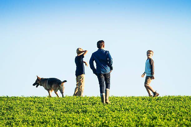 istock Three boys on a hill with their dog 607925654