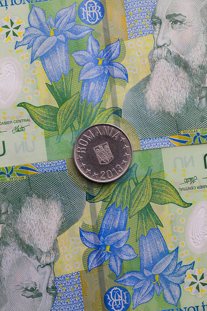 istock Different banknotes and coins  of Romania money 607926592
