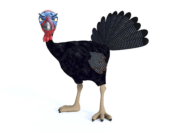 istock Silly angry toon turkey. 607928906