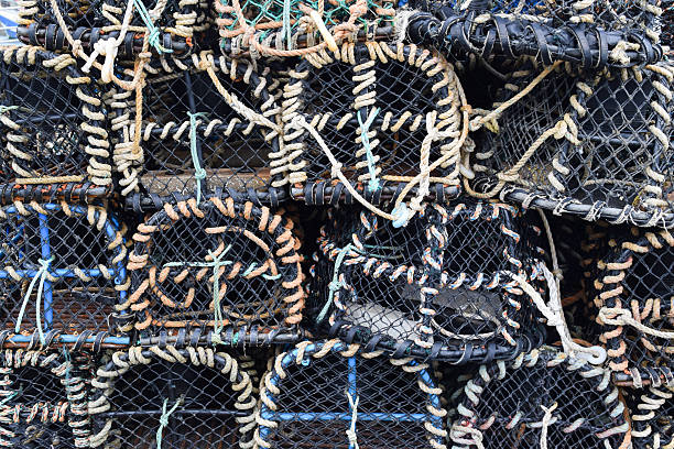 istock basket traps for catching lobster and crab 607960750