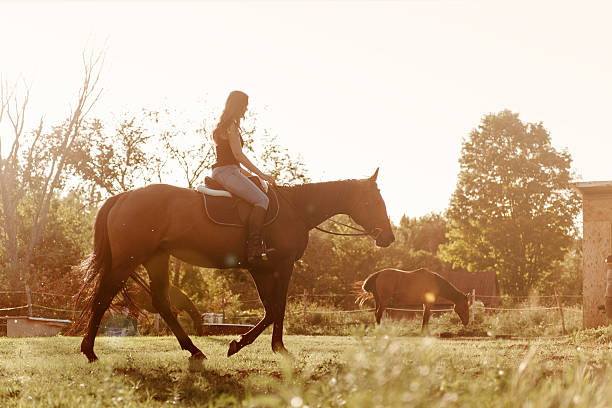 istock Woman riding a horse 607964006