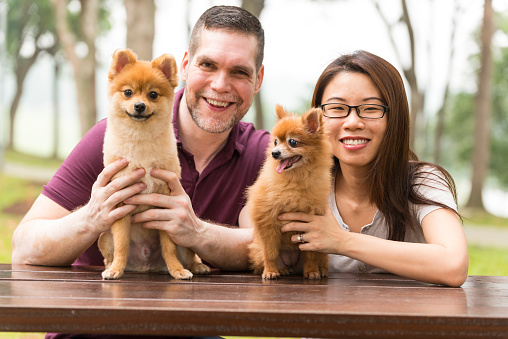 Portrait of happy mixed race couple with their pet dogs in a park.