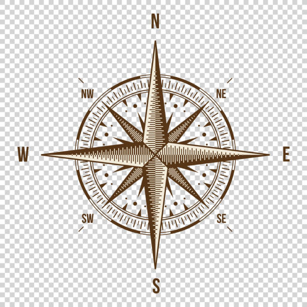 kompas wektora. wysokiej jakości ilustracja. stary styl. zachód, wschód, północ - compass drawing compass map cartography stock illustrations