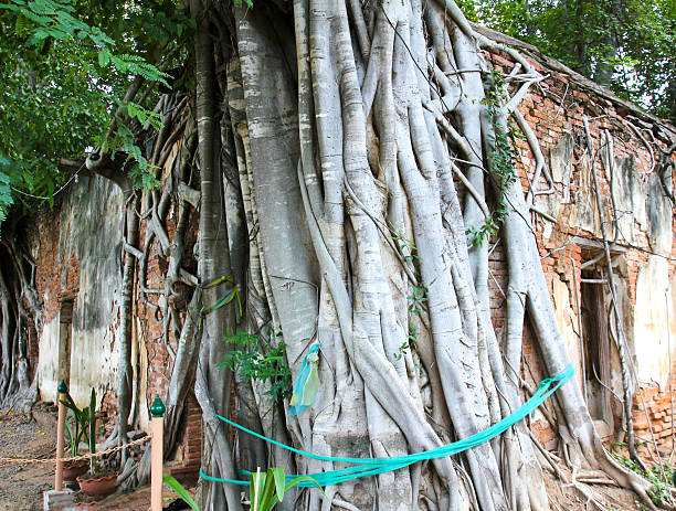 istock Ancient Thai Church at Sang Kratai Temple 607976006