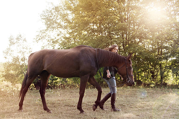 istock Woman with her horse 607976448