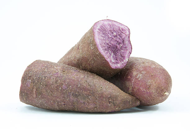 istock tapioca plants cassava closeup isolated 607984360