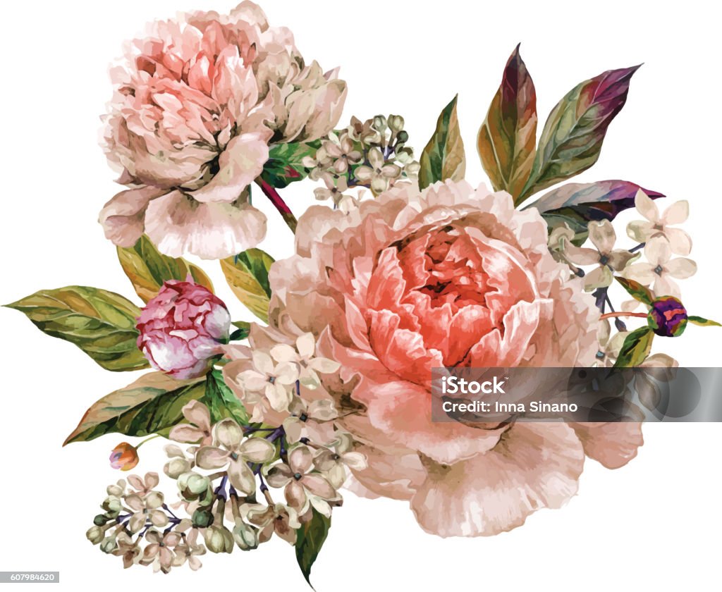 Bouquet floral vintage de pivoines - clipart vectoriel de Fleur - Flore libre de droits