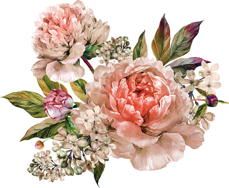 Vintage floral bouquet of light rose peonies and white lilac. Hand drawn watercolor botanical illustration isolated on white background. Summer floral peonies greeting card