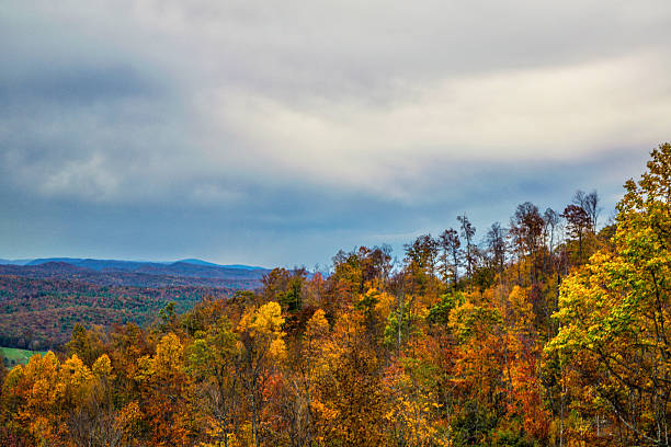 istock Appalachian Blue Ridge Mountains Autumn Fall Trees Colors Scenic 607989306