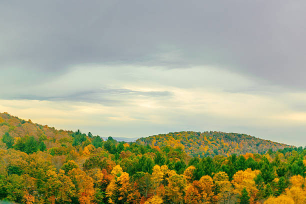 istock Appalachian Blue Ridge Mountains Autumn Fall Trees Colors Scenic 607989384