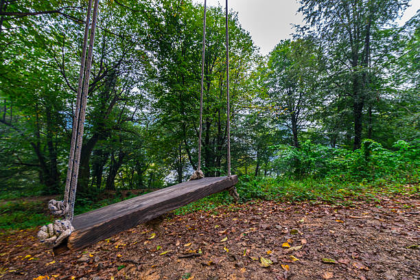 Swing wooden seat hanging by rope with green background