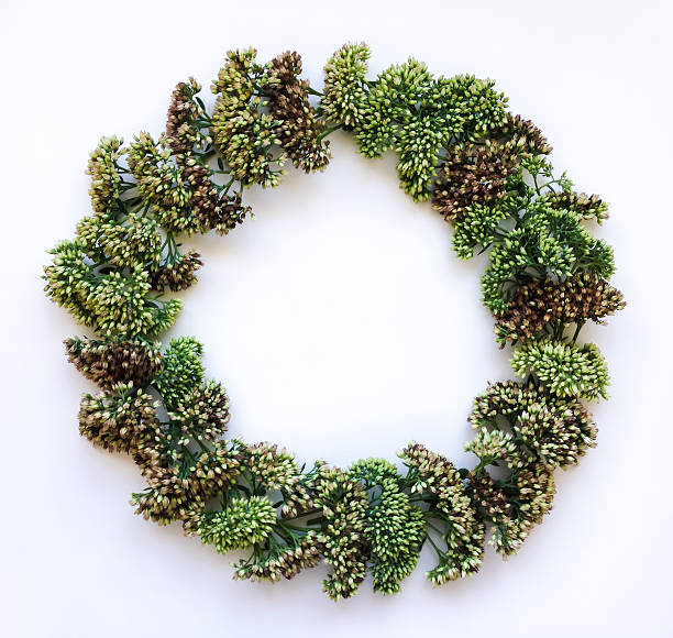 istock Green floral wreath frame on white background. Flat lay 607993048