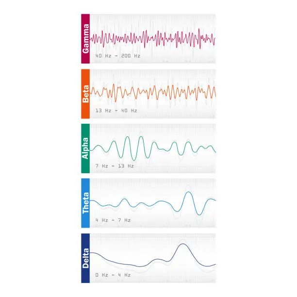 Vector illustration of Different brain waves