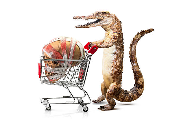 istock Crocodile and skull with shopping cart 607997050