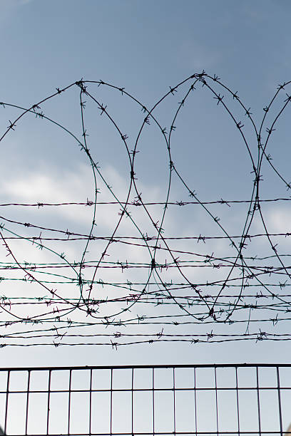 istock Vertical shot of barbed wire fence 607997240