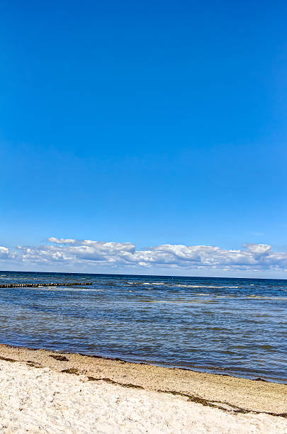 istock Beach coastline summer at Poel island, Germany 607997690