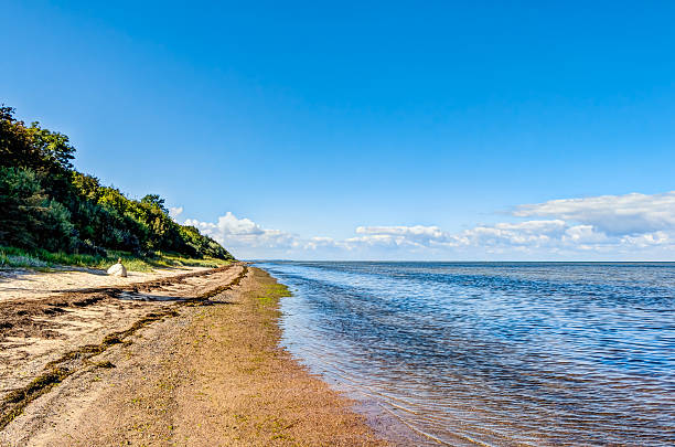 Beach coastline of the Baltic Sea in summer at Poel island, Germany