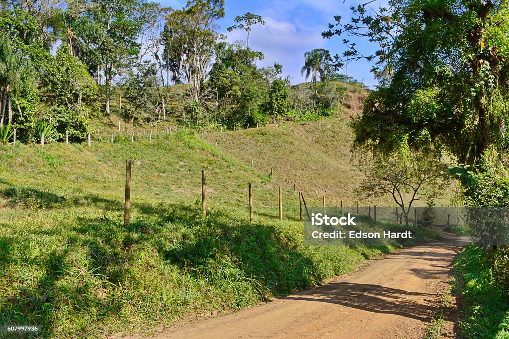 Rural Landscape with road Beautiful countryside, in the midst of nature with lots of trees, mountains and rivers. Photo made in Rio Natal Town, São Bento do Sul, Santa Catarina on 07/30/2016. Beauty In Nature Stock Photo